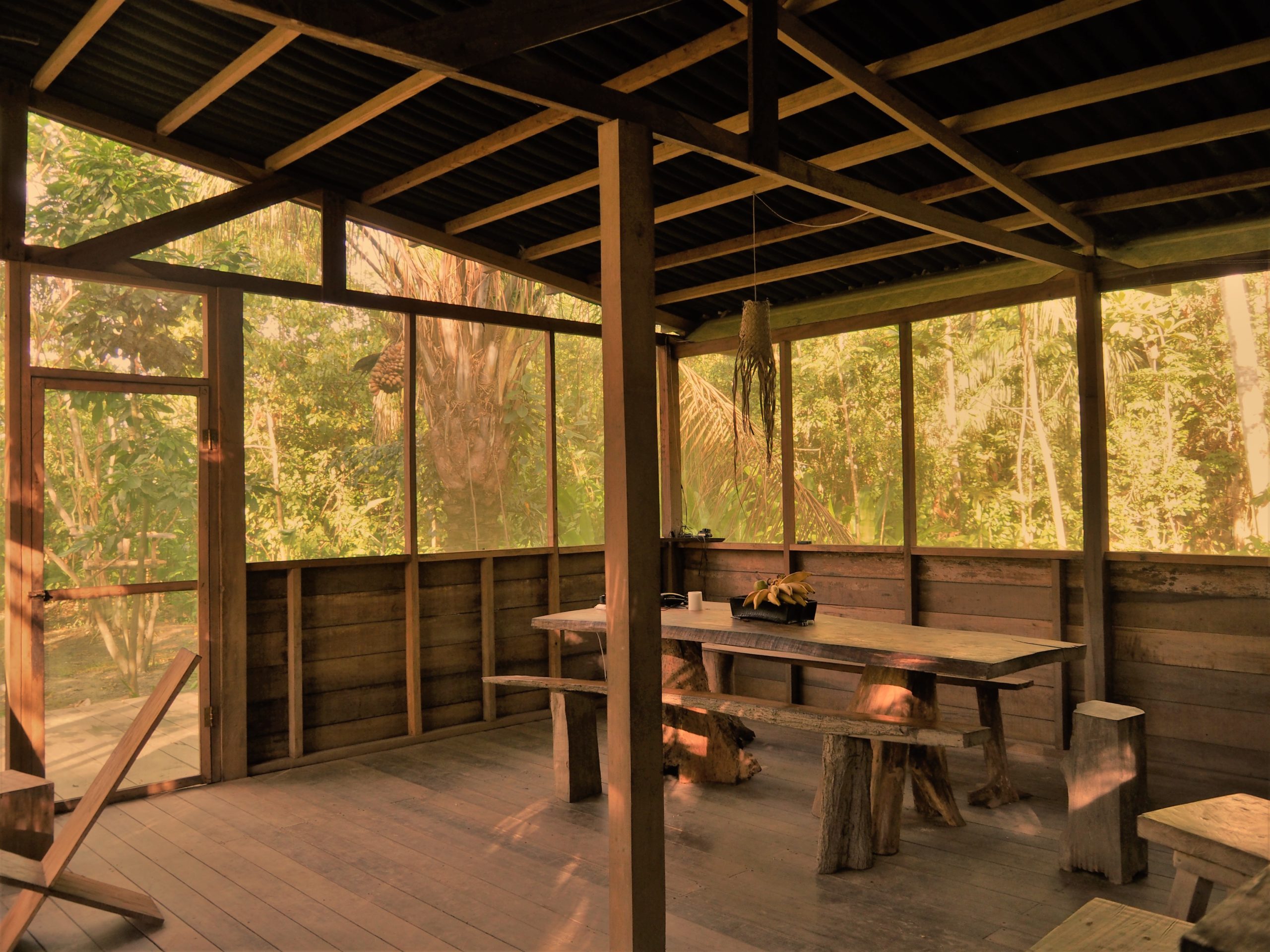 Thumbnail for the post titled: Stay at The Reserve–Private Rooms & Rainforest Excursions Available